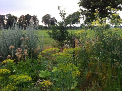 Bed & Breakfast De Bolderie
