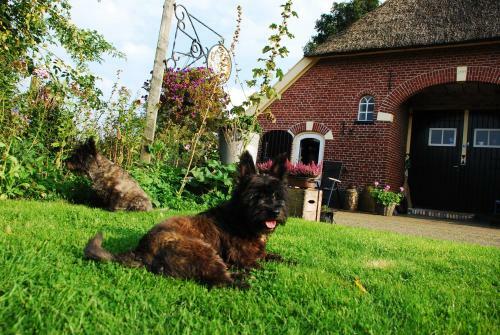 Bed & Breakfast De Bolderie