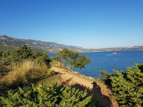 Apartmani Jozic