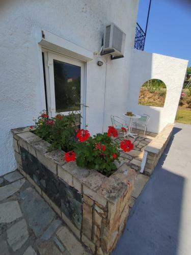 Apartamento Armeno Studios
