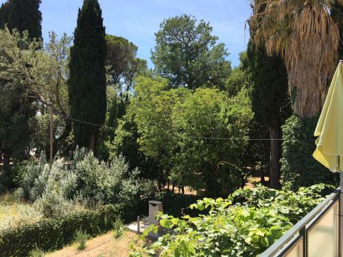 Apartamentos Palmaja