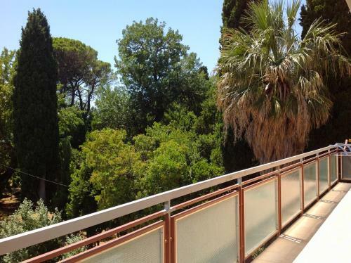 Apartamentos Palmaja