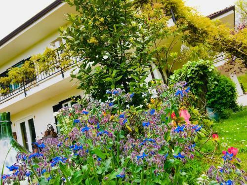 B&B La Libellula