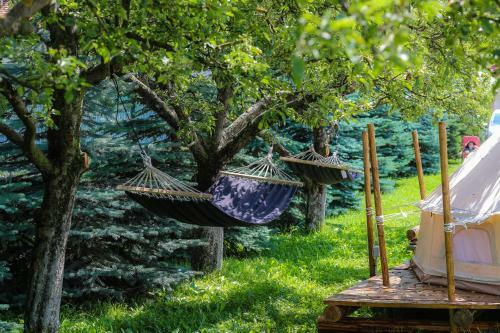 Valea Doftanei Glamping