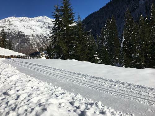 Apartamento Alpenspirit