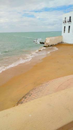 Apartamento Magn�fico Piso A Pie De Playa!