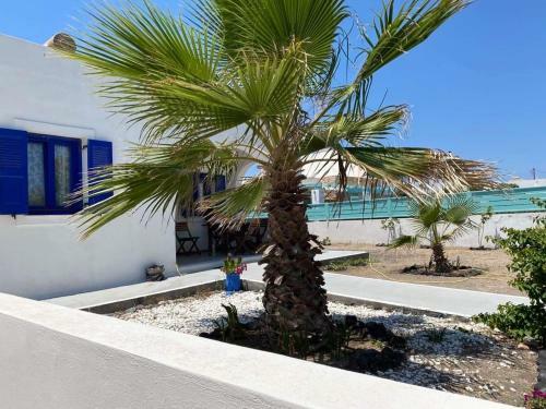 Villa 33