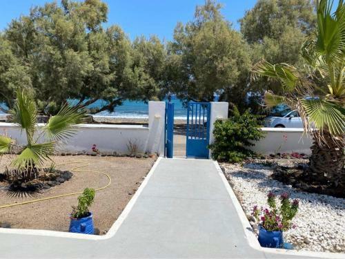 Villa 33