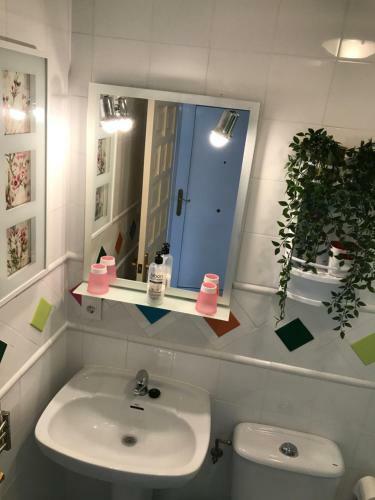 Apartamento Oasis Paradise