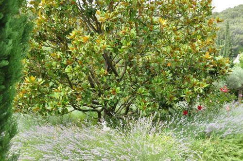 Bed & Breakfast Le Mas Du Perthus