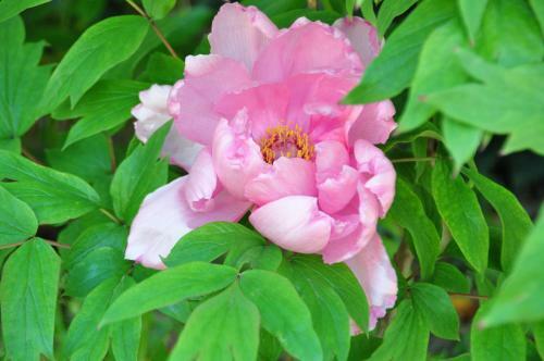 Bed & Breakfast Le Mas Du Perthus