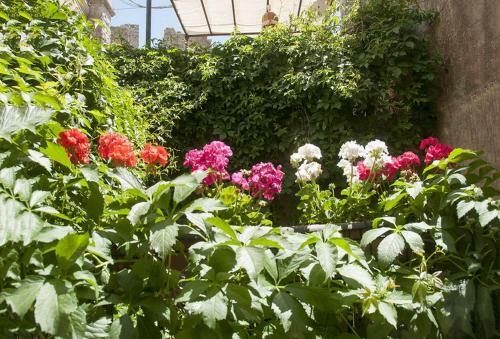 Apartamento Erice Villa San Domenico