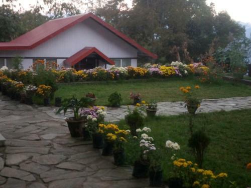 Hotel Pine Haven Resorts