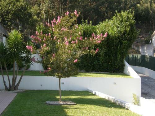 Bed & Breakfast Casajp