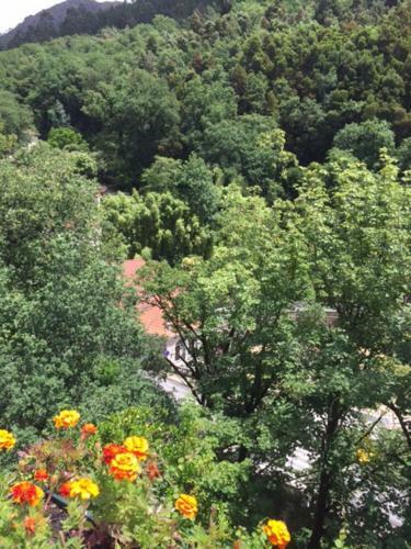 Hostal Casa Da Av�