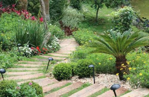 Teres�polis Experi�ncia �nica Dona Felicidade