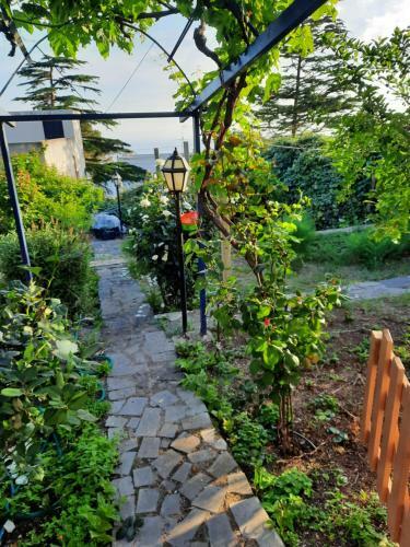 Apartamento Villa Eoliana