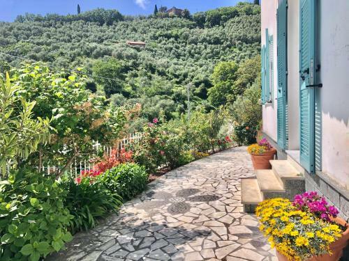 Colline D'argento