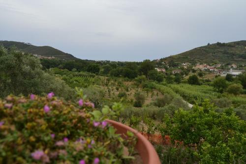 Casa Brillocco Castellabate