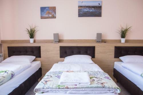 Bed & Breakfast Willa Boconek - Zator Przecisz�w
