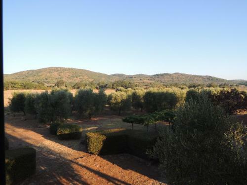 Villa Superb Cottage In Tuscany's Maremma