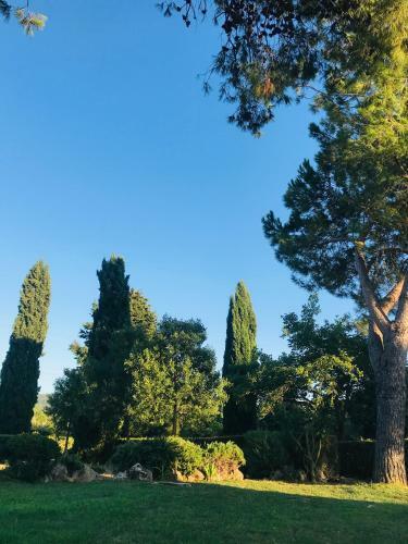 Villa Superb Cottage In Tuscany's Maremma
