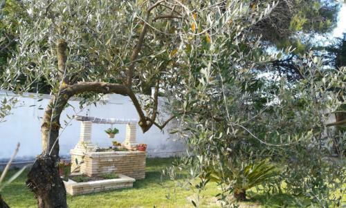 Agroturismo Perla Del Salento