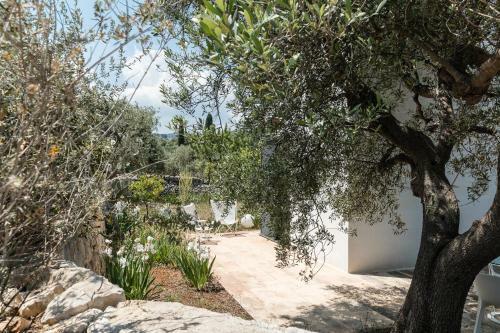 Bed & Breakfast Calcebianca