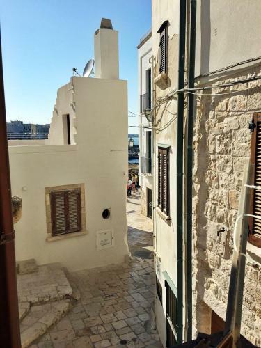 Porto 9
