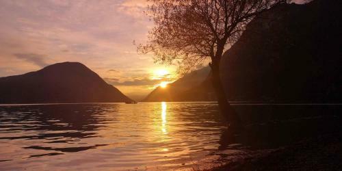Lago Di Lugano Glamper