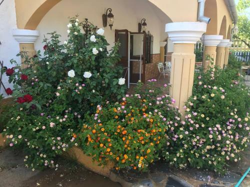 Finca La Rosal�a