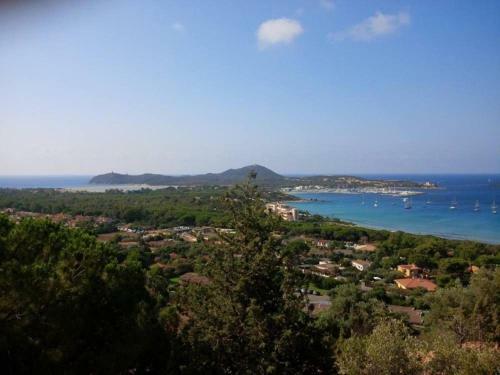 La Mimosa Sul Mare