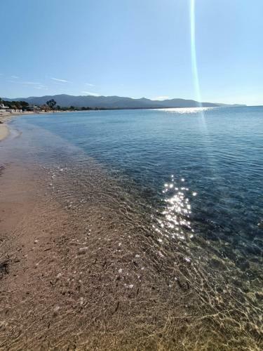 Sant Andrea