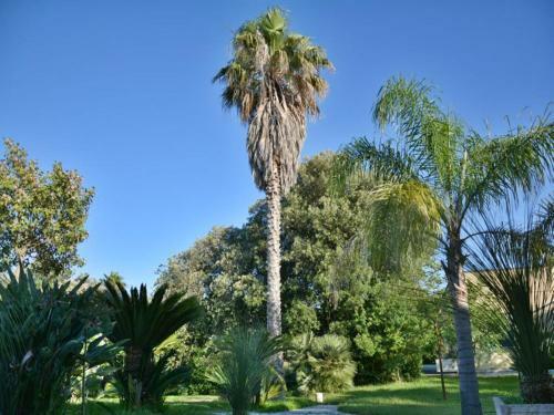 Apartamento Masseria Lama