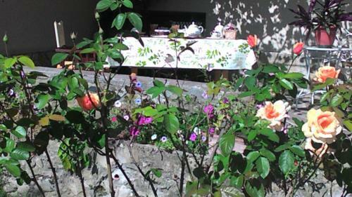Bed & Breakfast Casa Ciosse