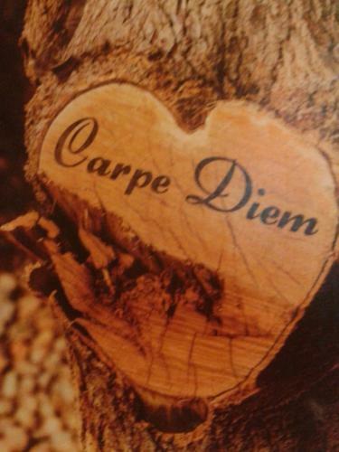 Apartamento Carpe Diem R�sidence
