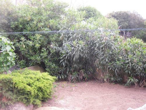 Casa Myrta
