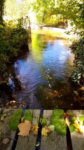 Bed & Breakfast Ch�teau De La Vern�de