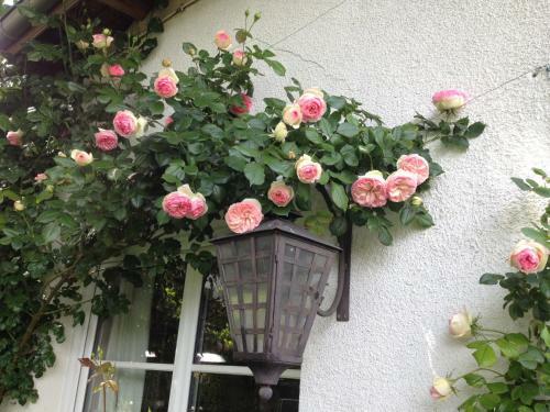 Le Petit Val Rose