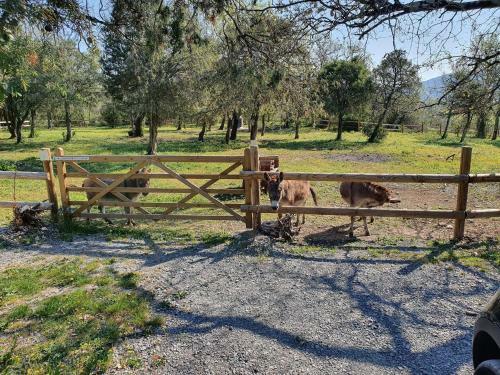 Roulottes Et Cabanes De Saint Cerice
