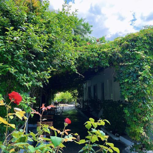 Hotel Garden Villa Naza