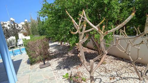 Mylos 3 Bedroom Villa With Private Pool