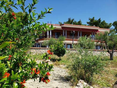 Apartamento Vila Elezi