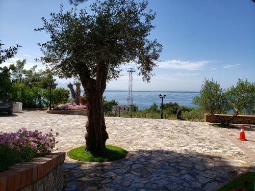 Apartamento Vila Elezi