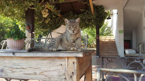 Hostal Pansion Ruzic