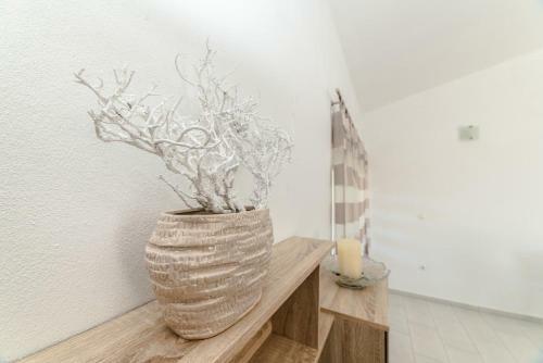 Apartments Vam