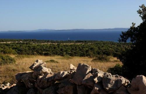 Apartmani Luka