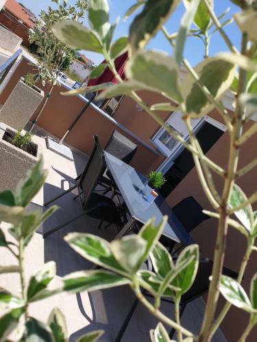 Apartmani Kozina