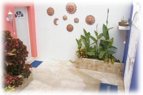 Hostal Coral Reef Inn