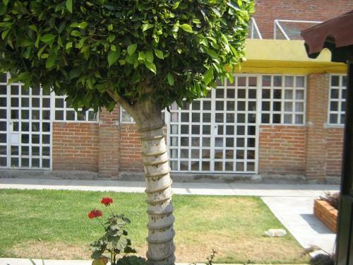 Hostal Hospedaje Bugambilias